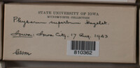 Image Associated With the Occurence
